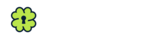 Cloverkey Swag